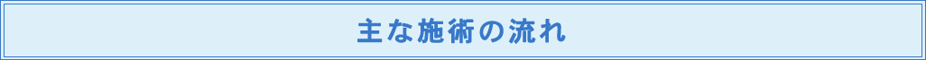 主な施術の流れ